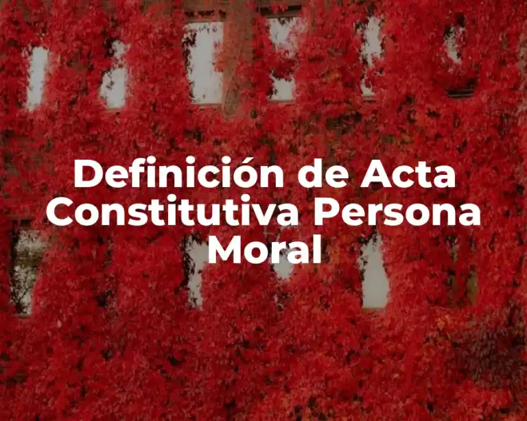 Definición de Acta Constitutiva Persona Moral