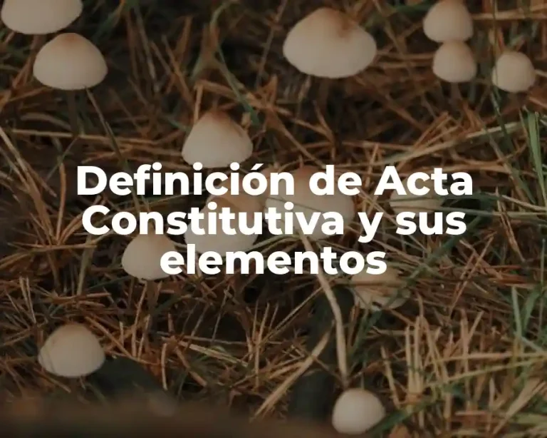 Definición de Acta Constitutiva y sus elementos
