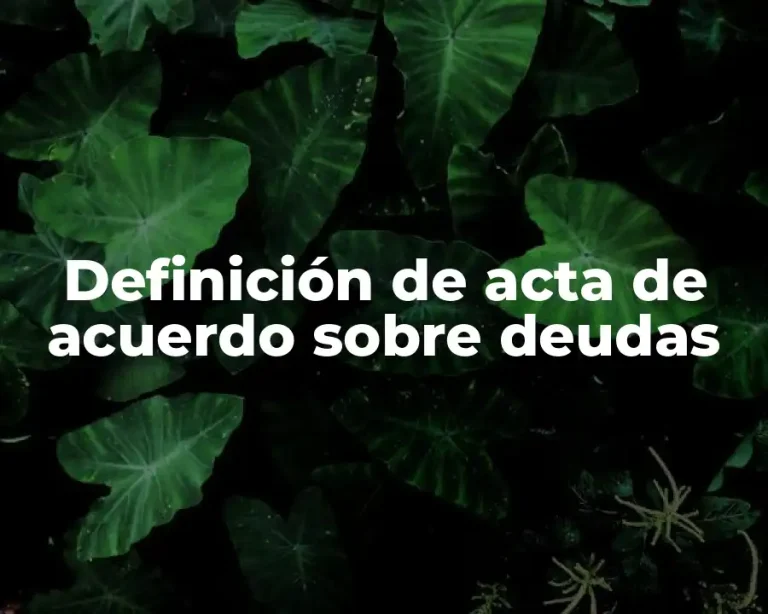 Definición de acta de acuerdo sobre deudas