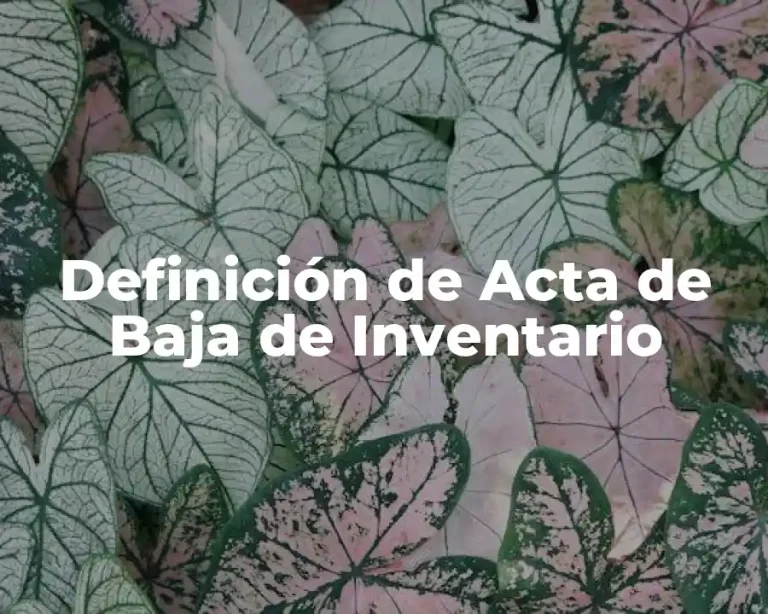 Definición de Acta de Baja de Inventario