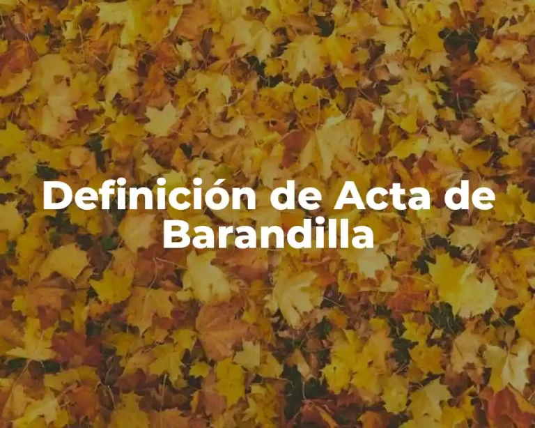 Definición de Acta de Barandilla
