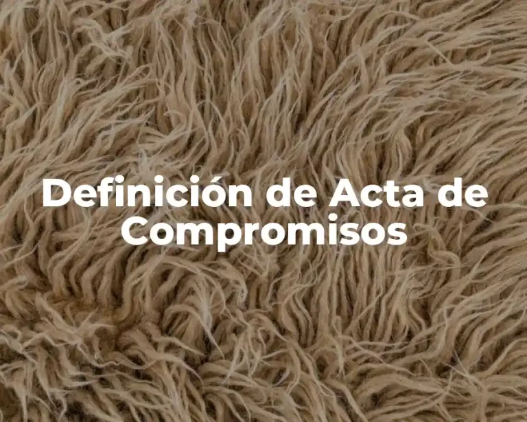 Definición de Acta de Compromisos