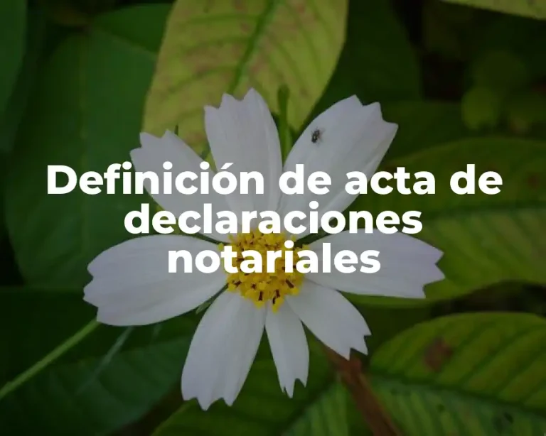 Definición de acta de declaraciones notariales