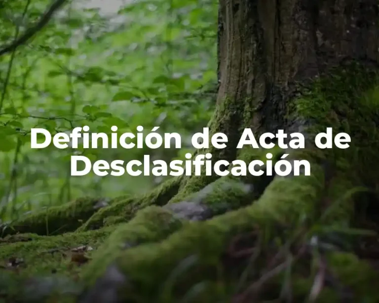 Definición de Acta de Desclasificación