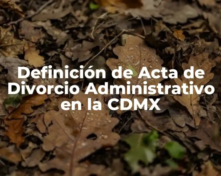 Definición de Acta de Divorcio Administrativo en la CDMX