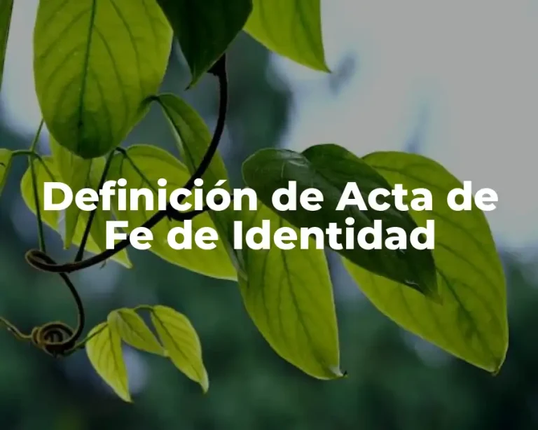 Definición de Acta de Fe de Identidad