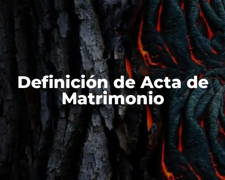 Definición de Acta de Matrimonio
