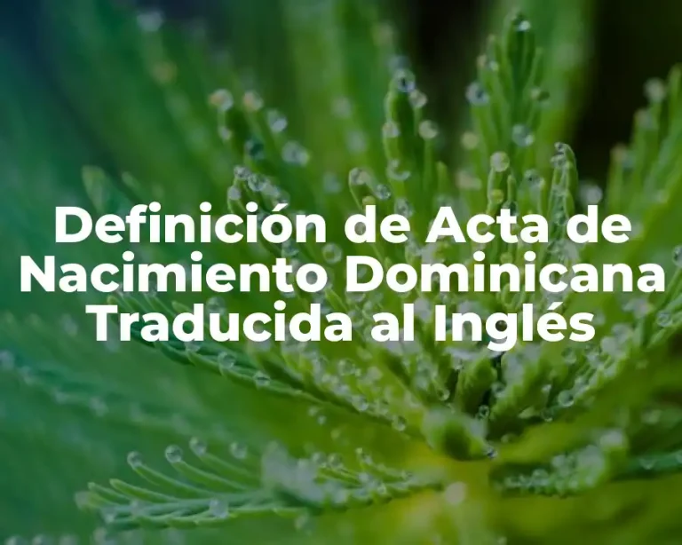 Definición de Acta de Nacimiento Dominicana Traducida al Inglés