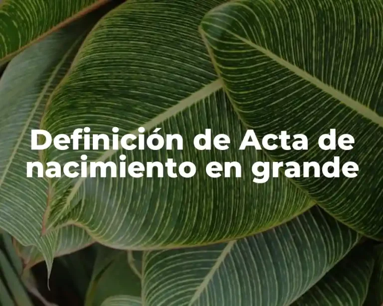 Definición de Acta de nacimiento en grande