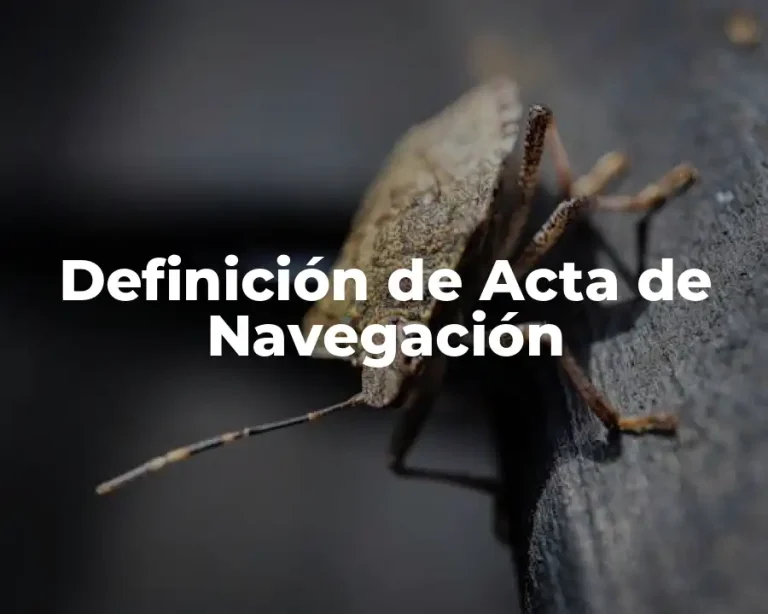 Definición de Acta de Navegación