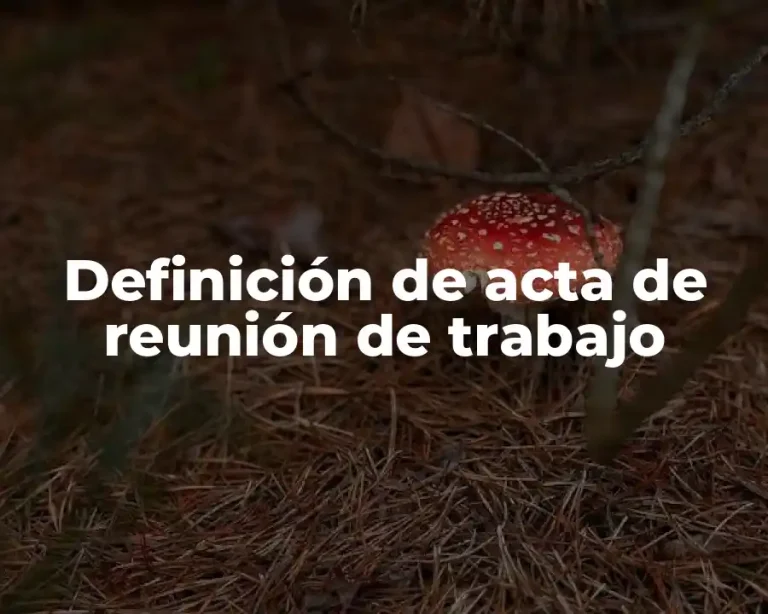 Definición de acta de reunión de trabajo