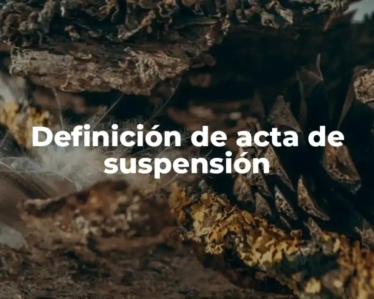 Definición de acta de suspensión