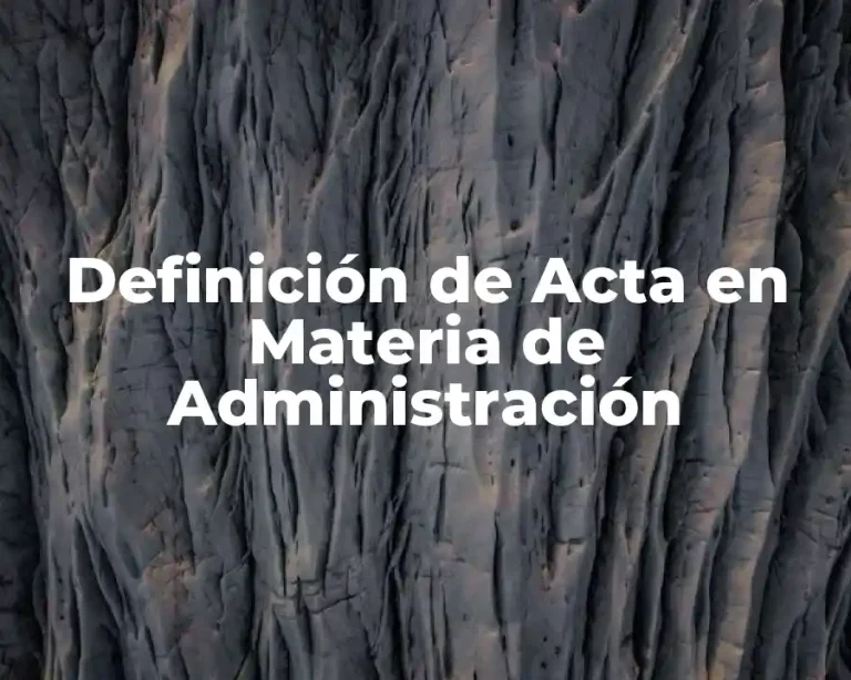 Definición de Acta en Materia de Administración