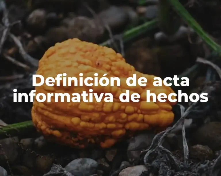 Definición de acta informativa de hechos