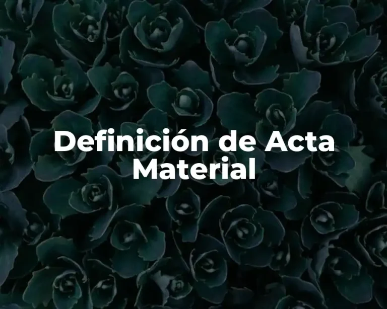 Definición de Acta Material