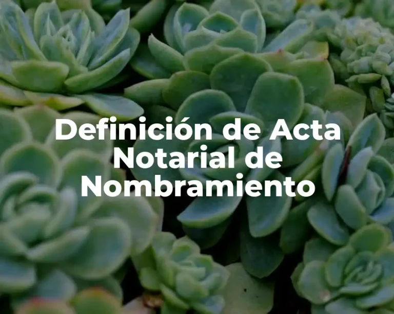 Definición de Acta Notarial de Nombramiento