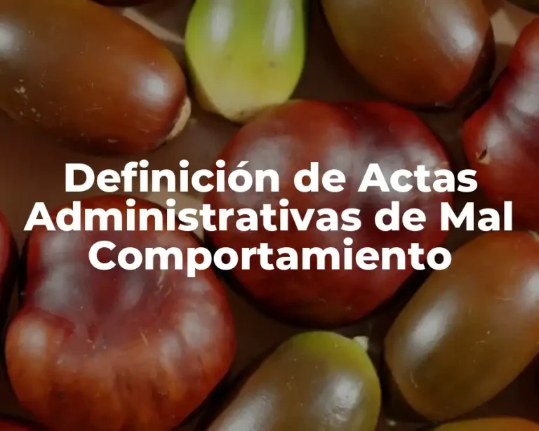 Definición de Actas Administrativas de Mal Comportamiento