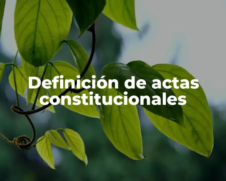 Definición de actas constitucionales