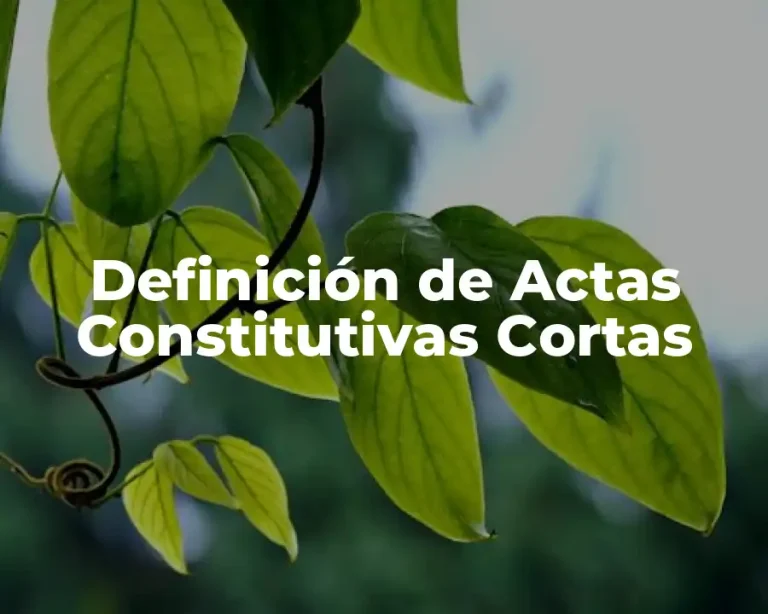 Definición de Actas Constitutivas Cortas