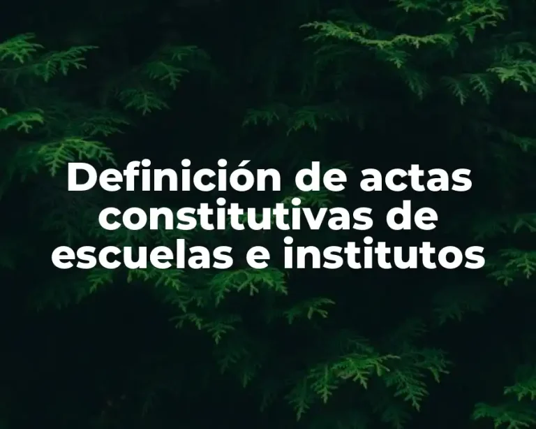 Definición de actas constitutivas de escuelas e institutos