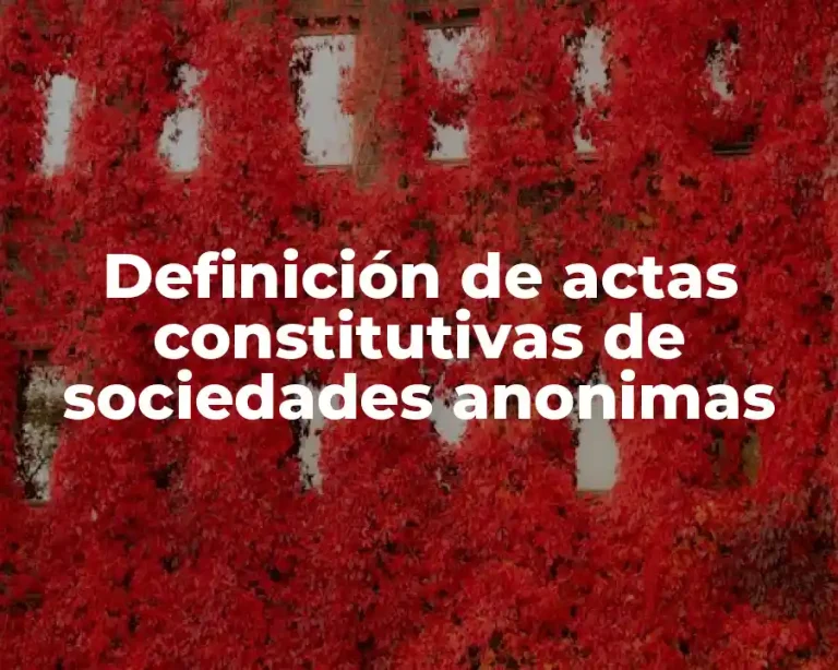 Definición de actas constitutivas de sociedades anonimas