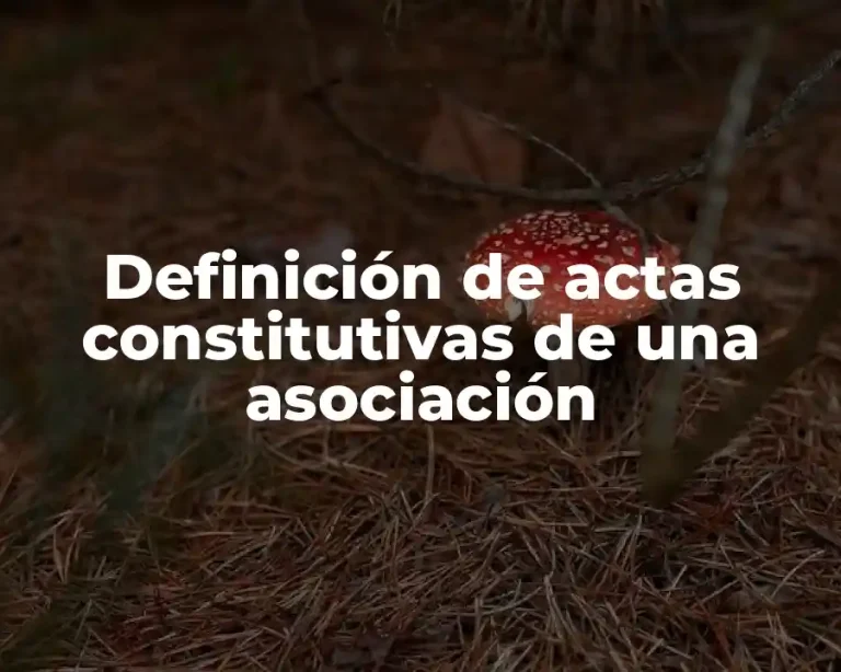Definición de actas constitutivas de una asociación