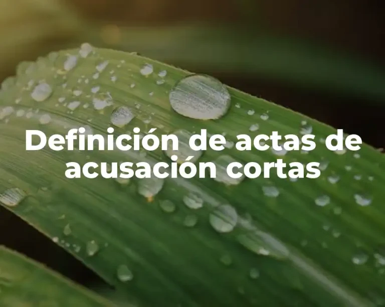 Definición de actas de acusación cortas