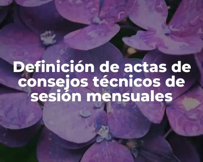 Definición de actas de consejos técnicos de sesión mensuales