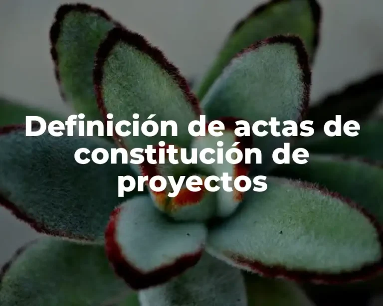 Definición de actas de constitución de proyectos