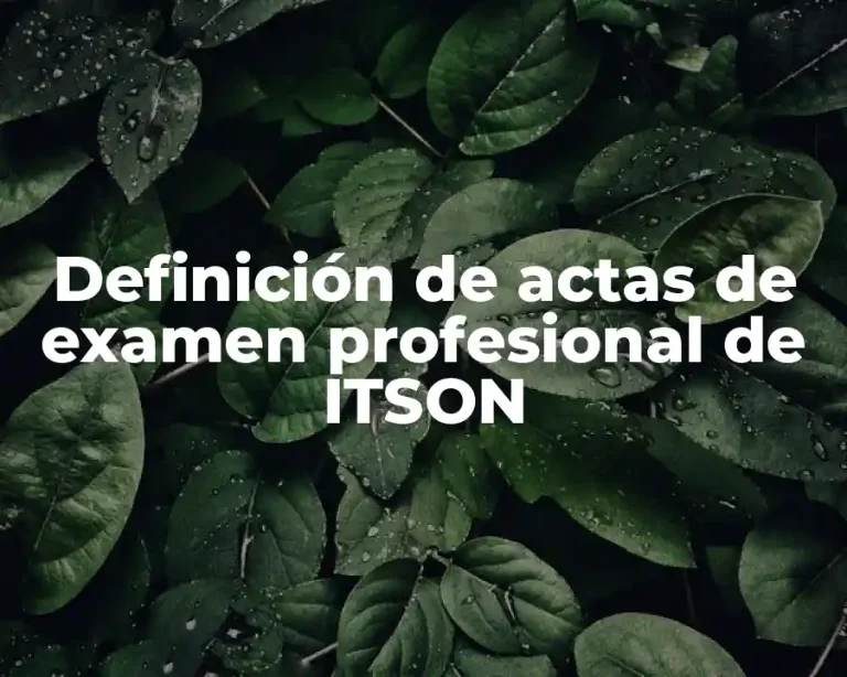Definición de actas de examen profesional de ITSON