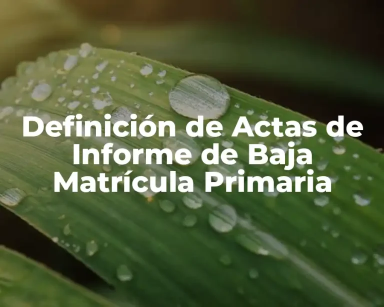 Definición de Actas de Informe de Baja Matrícula Primaria