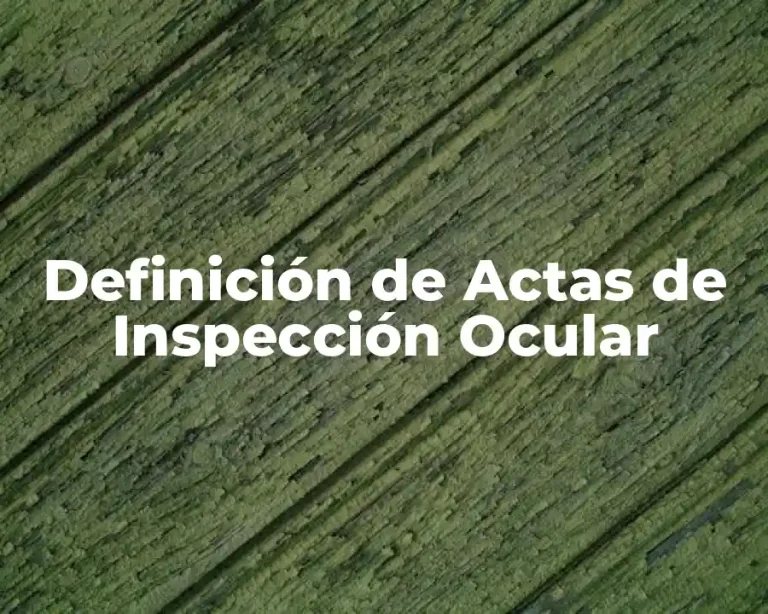 Definición de Actas de Inspección Ocular