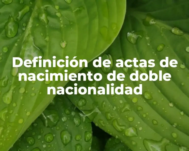 Definición de actas de nacimiento de doble nacionalidad