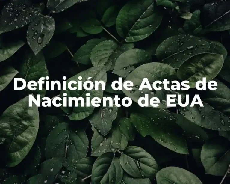 Definición de Actas de Nacimiento de EUA