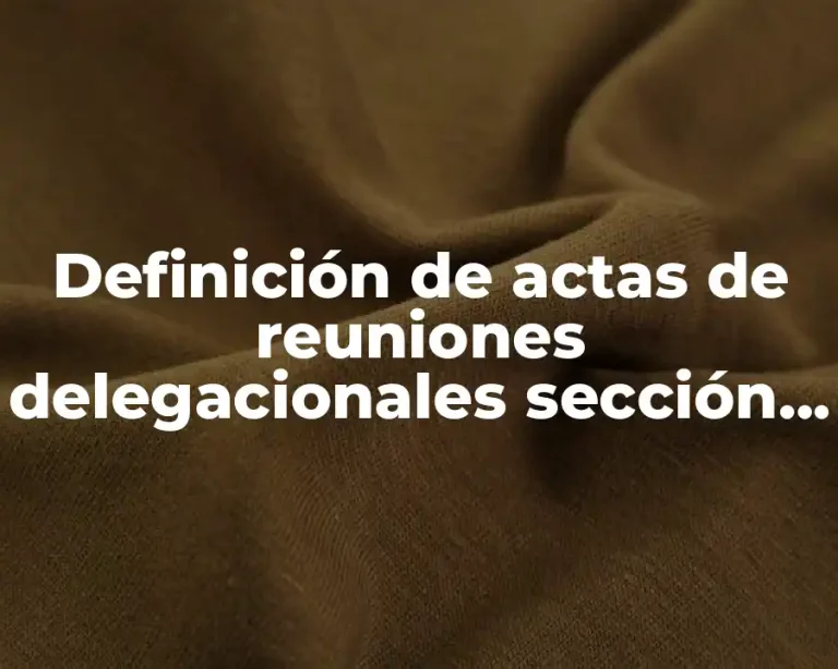 Definición de actas de reuniones delegacionales sección XXII