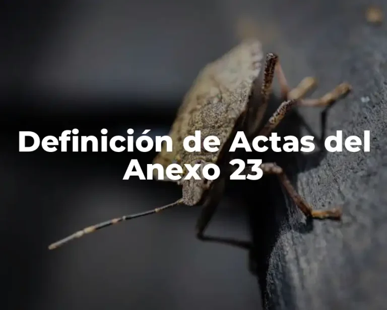 Definición de Actas del Anexo 23