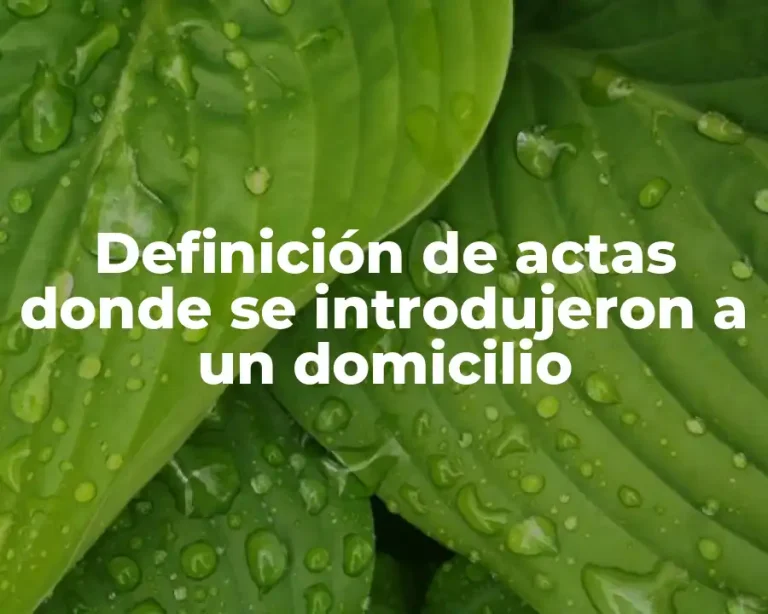 Definición de actas donde se introdujeron a un domicilio