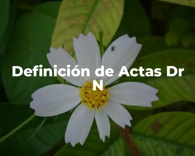 Definición de Actas Dr N