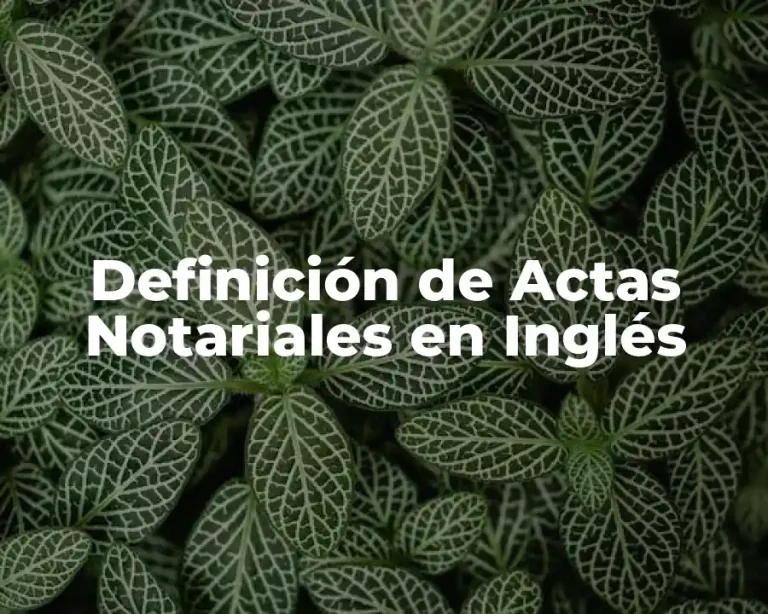 Definición de Actas Notariales en Inglés