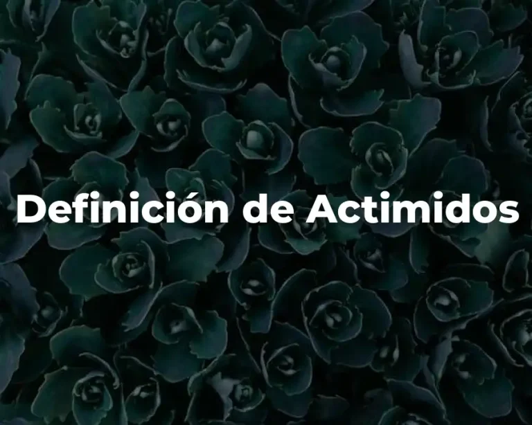 Definición de Actimidos