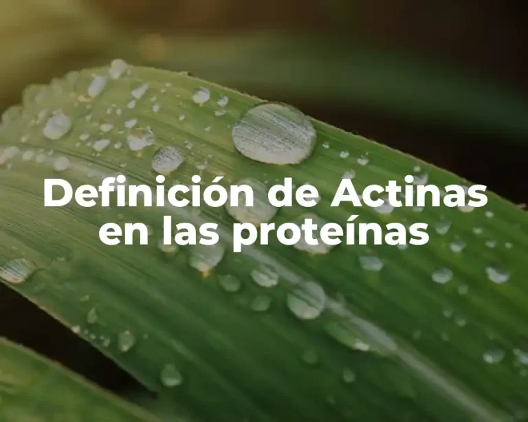 Definición de Actinas en las proteínas