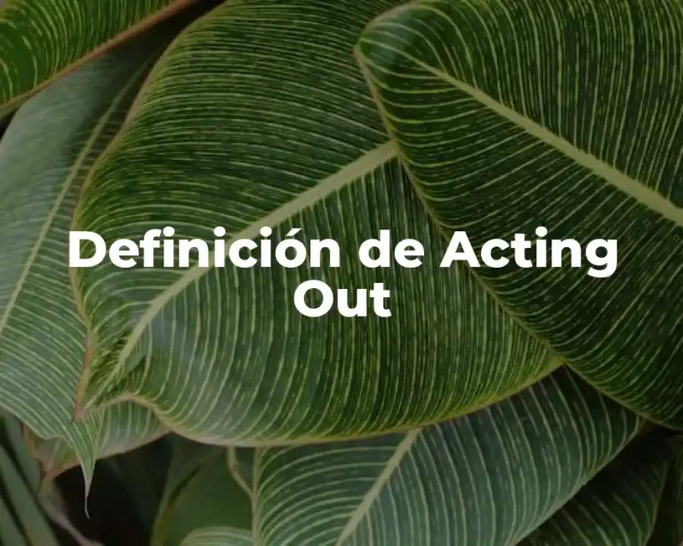 Definición de Acting Out
