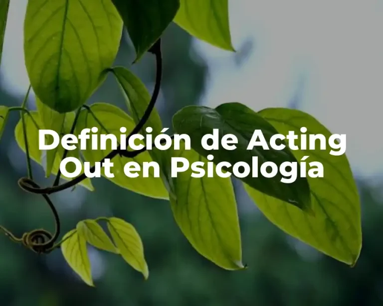 Definición de Acting Out en Psicología