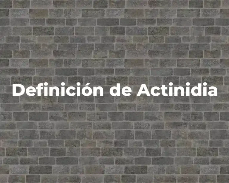 Definición de Actinidia