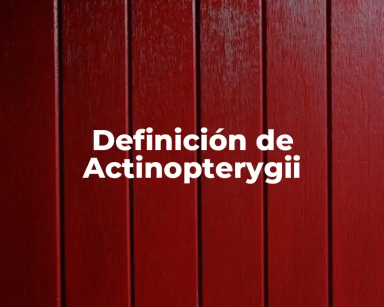 Definición de Actinopterygii