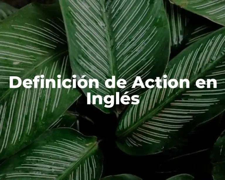 Definición de Action en Inglés