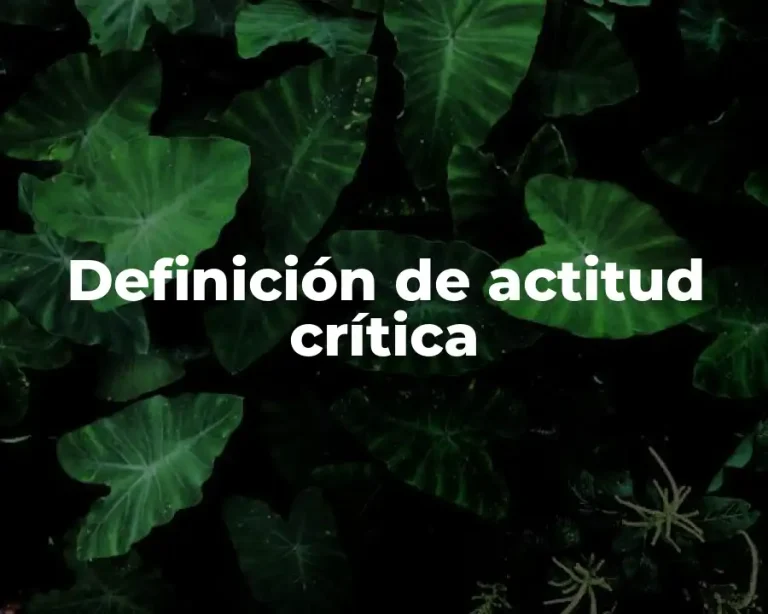 Definición de actitud crítica
