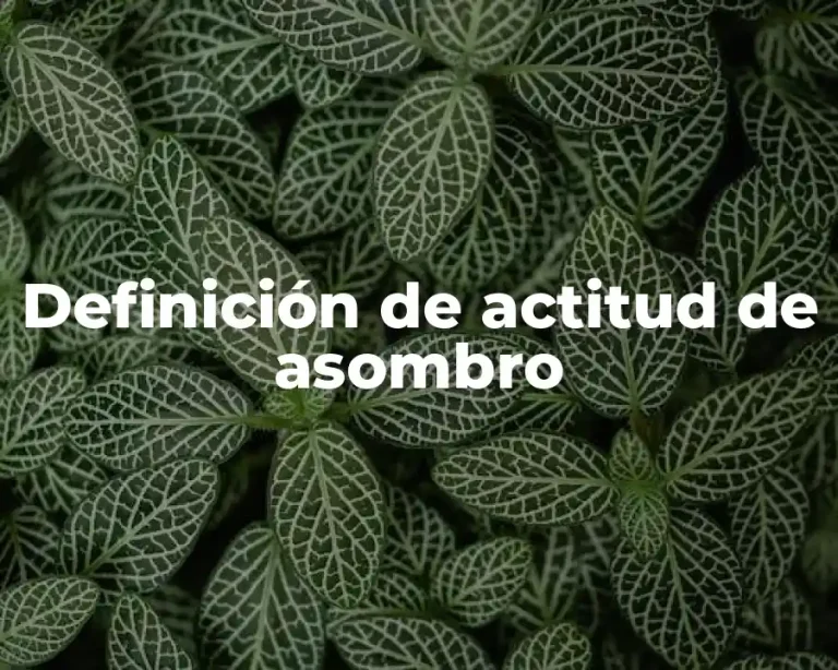 Definición de actitud de asombro