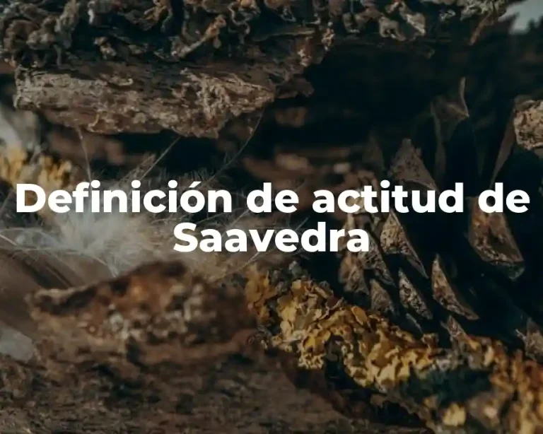 Definición de actitud de Saavedra