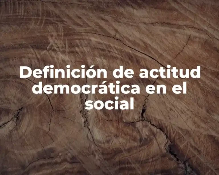 Definición de actitud democrática en el social
